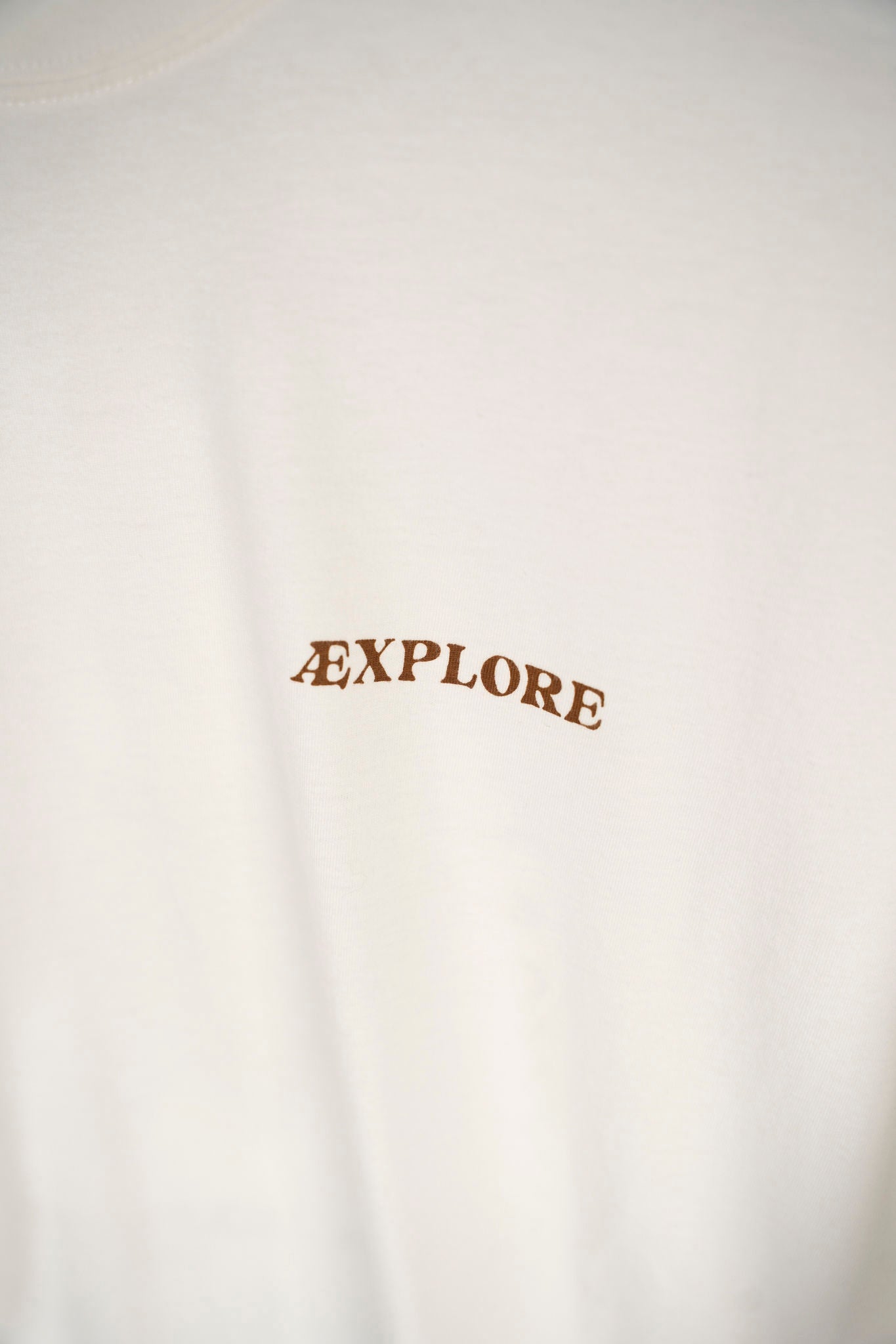 Beaver Burrito Boxfit Ls T-Shirt
