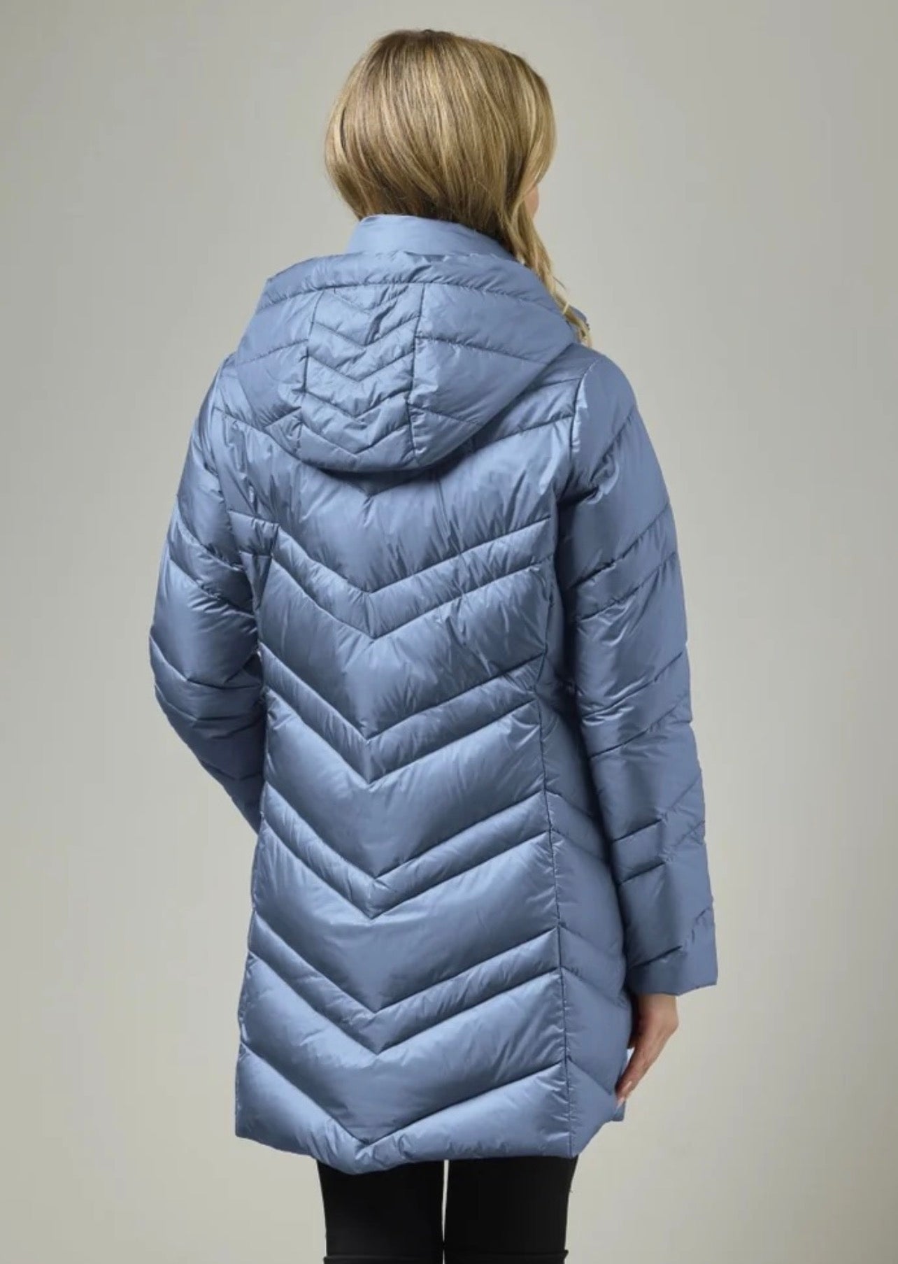 Penny 0226-2441-62
